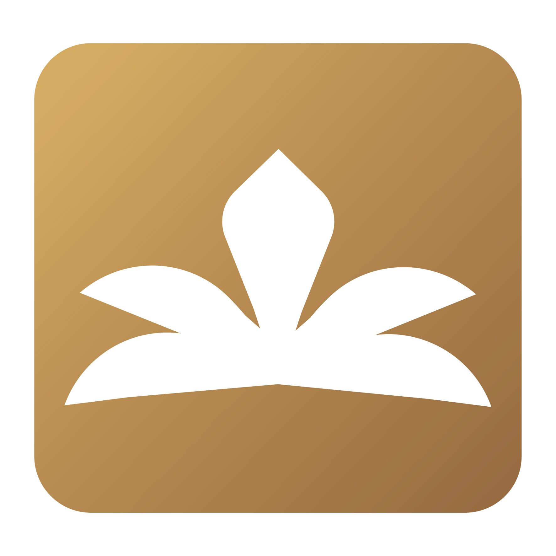 store avatar