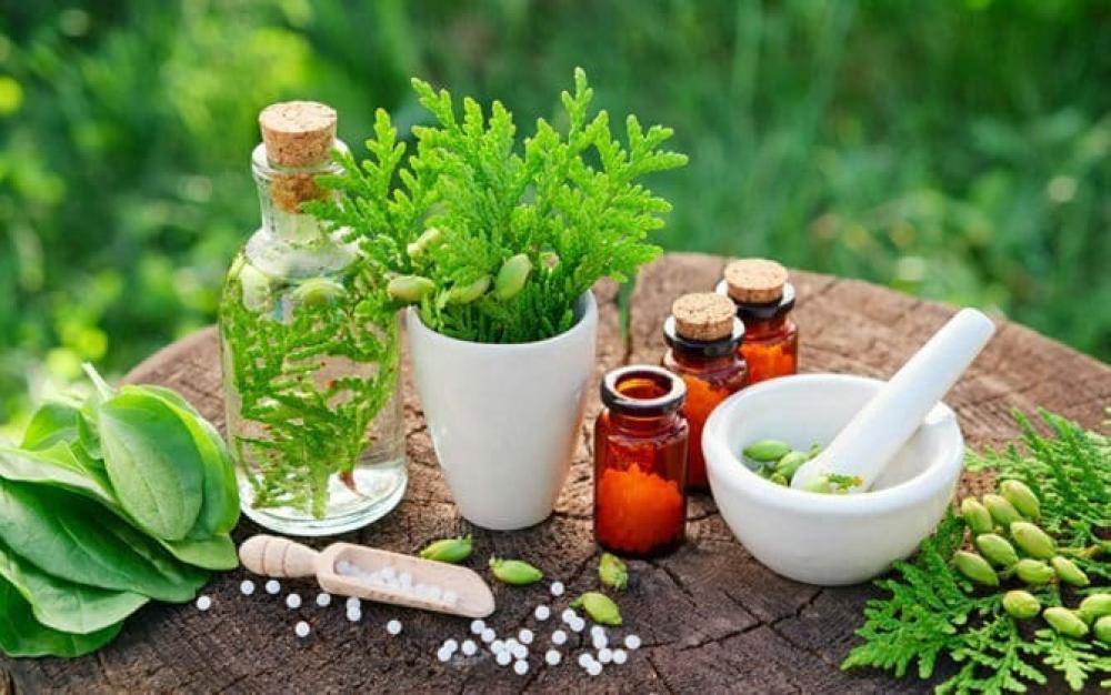أفضل الأعشاب والخلطات الطبيعية للعناية بالشعر