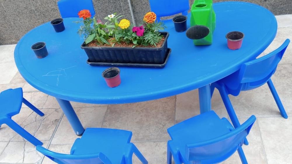 The importance of teaching agriculture to children