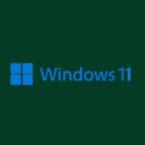 Windows 11