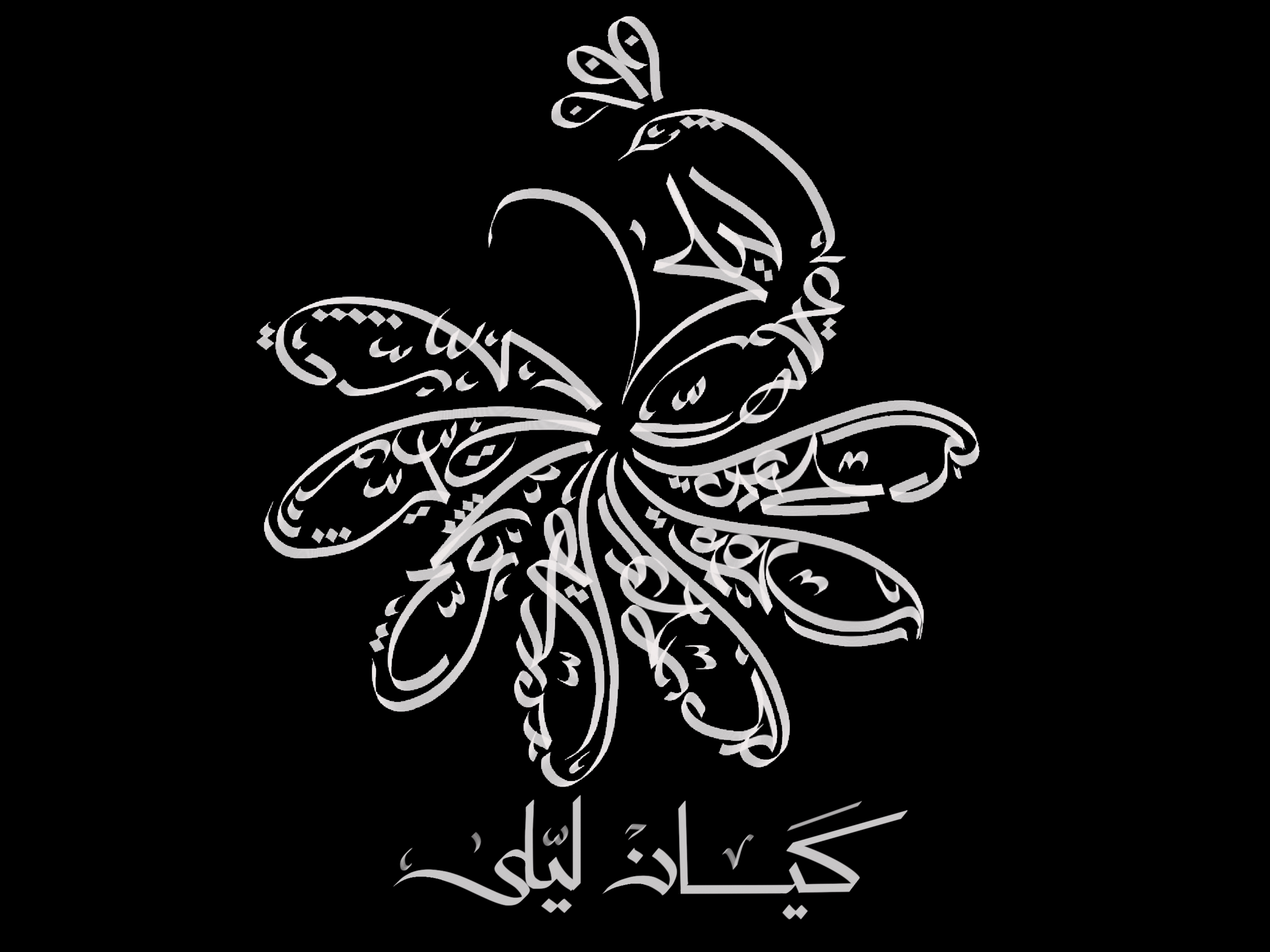 store avatar