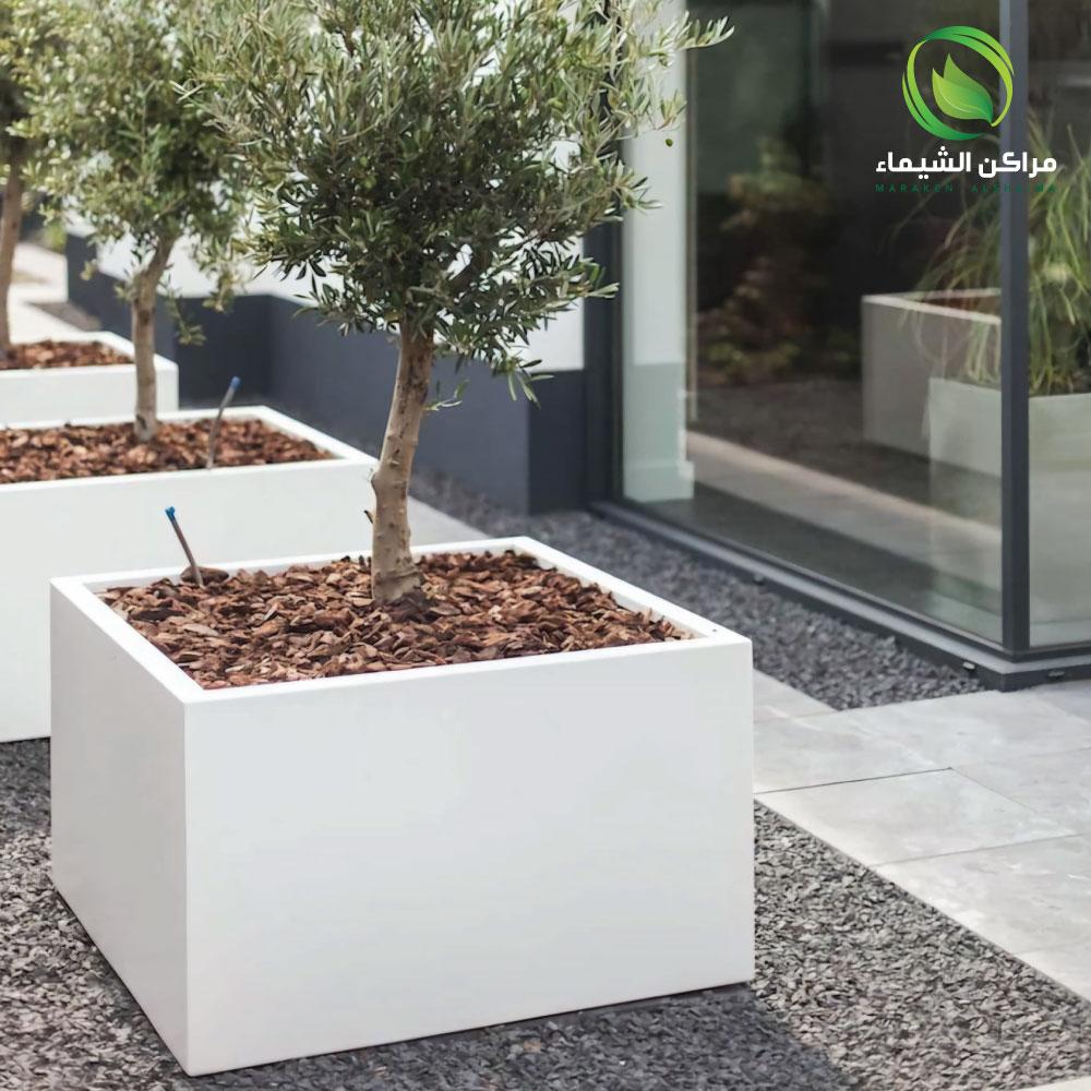 افكار احواض زرع ومراكن كبيرة جاهزة للمحلات التجارية ومداخل المولات - مصنع مراكن الشيماء فيبر جلاس- مقدمة