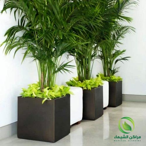 مركن زرع فايبر مربع 55 سم