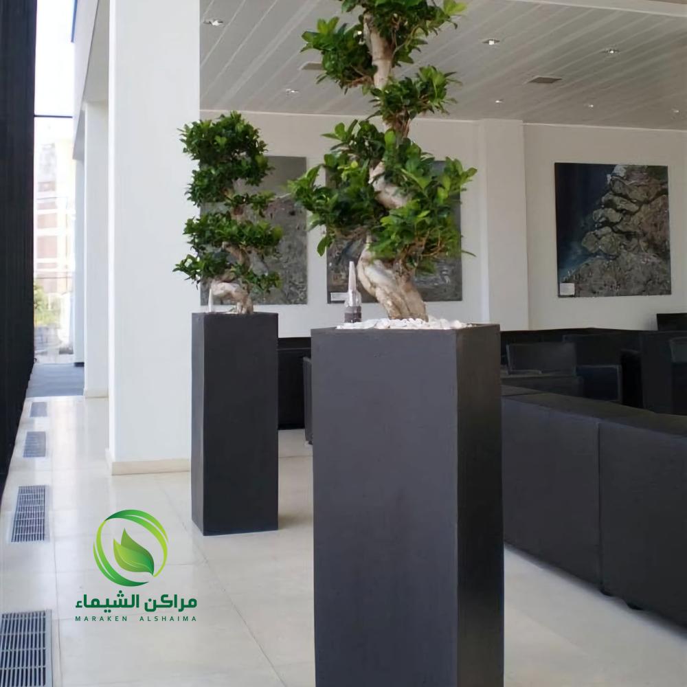 افكار تنسيق حدائق الجبيل احواض ومراكن زرع فيبر وشلالات ونوافير وجلسات جاهزة جاهزة مصنع مراكن الشيماء- المراكن والأحواض