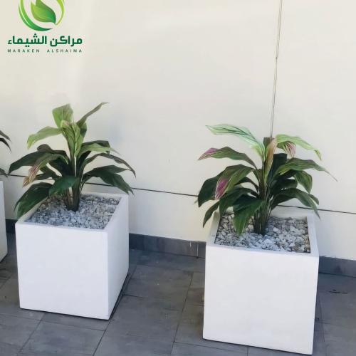 مركن زرع فايبر الاكثر شهرة