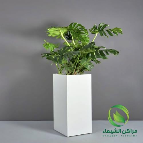 مركن زرع فايبر تصميم مودرن 80سم
