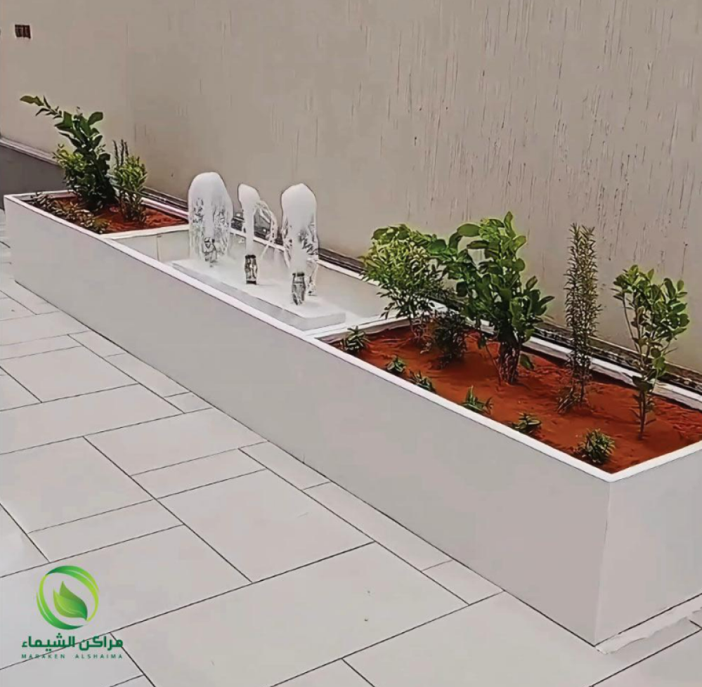 افكار أنواع النباتات المناسبة لزراعة الأحواض في الرياض - مصنع مراكن الشيماء لتوريد احواض ومراكن الزرع الفيبر جلاس