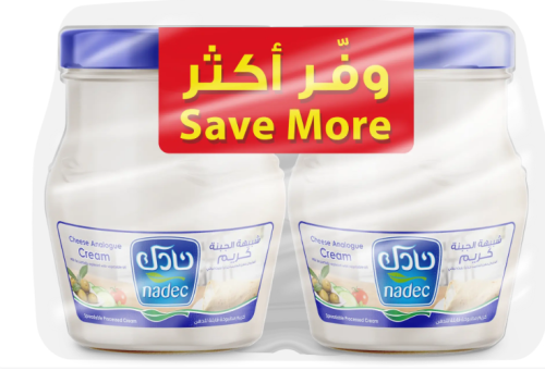 جبن نادك سائل 500*2