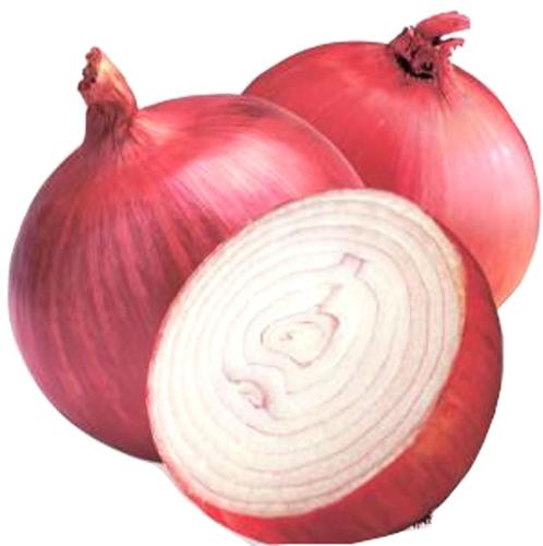 بصل احمر red onion