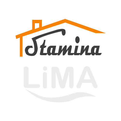 ستامينا