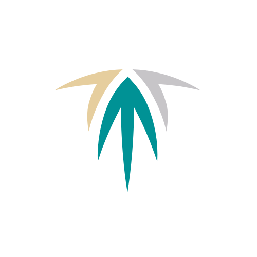 صندوق التنمية العقارية