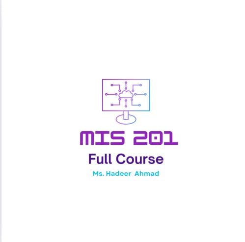 MIS 201 | Full Course