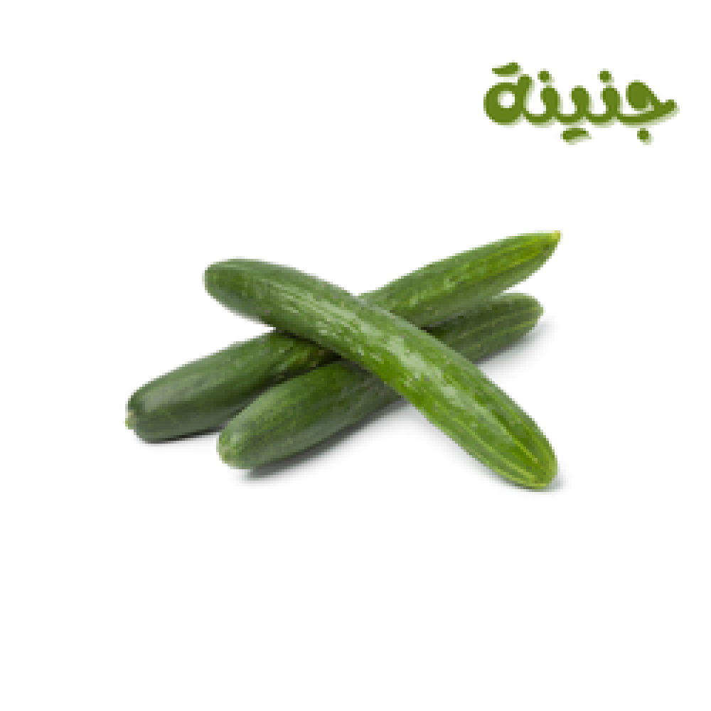 خيار كرتون فلين