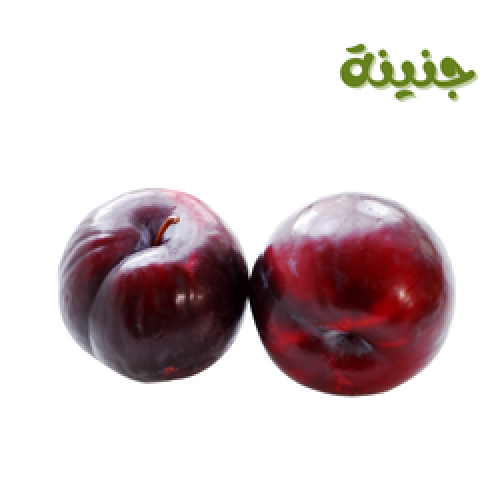 بخارى صحن