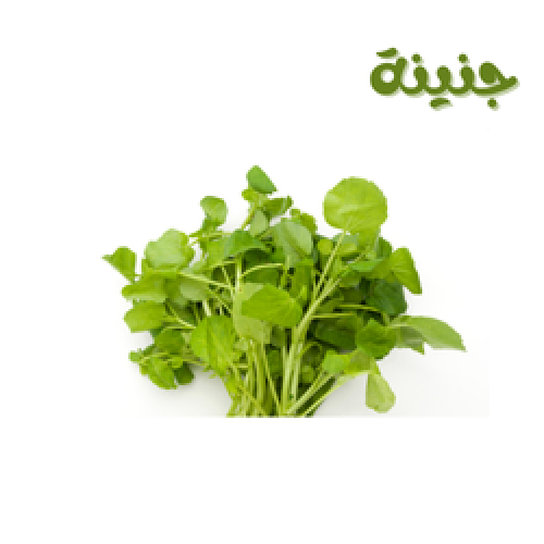 جرجير 5 ربطات