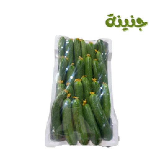 خيار كرتون فلين