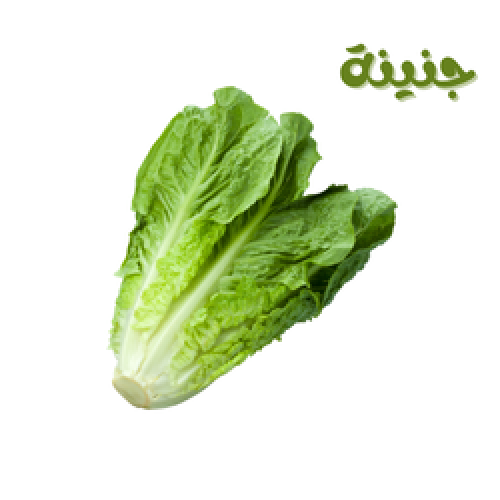 خس كرتون