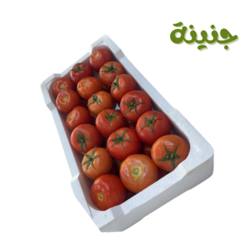 بندورة كرتون فلين