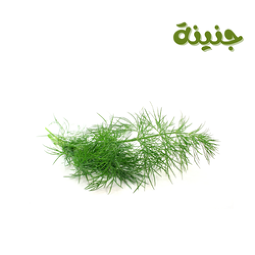 شبث 5 ربطات