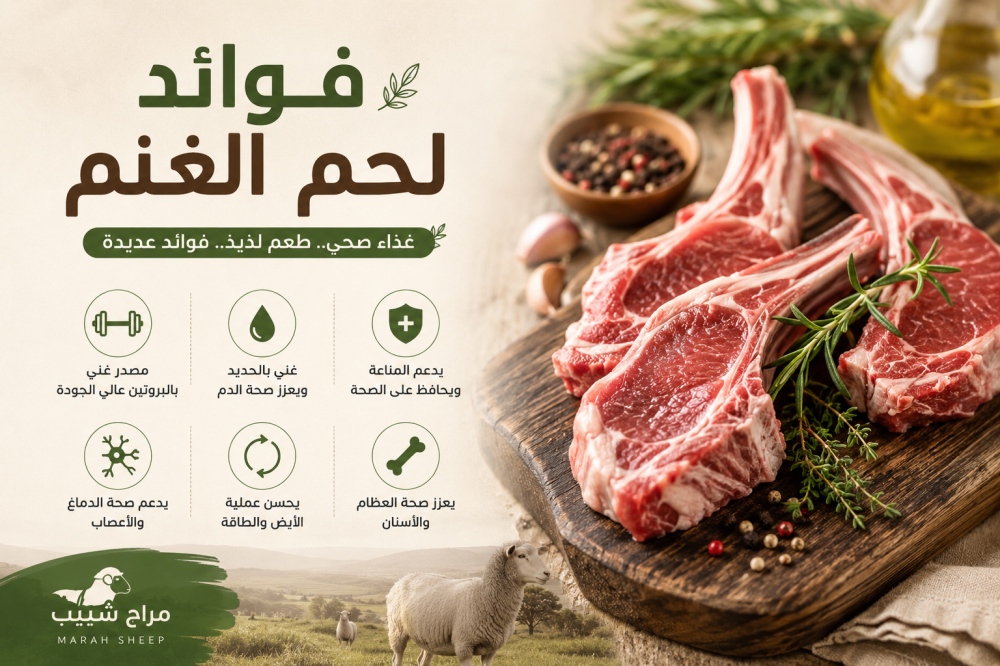 تعرف فوائد لحم الغنم وقيمته الغذائية للجسم