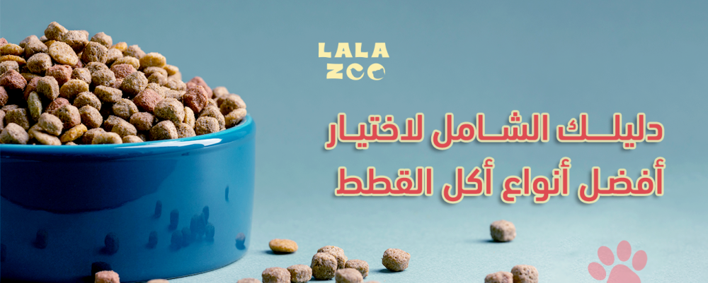 دليلك الشامل لاختيار افضل انواع اكل القطط