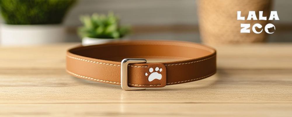 اكسسوارات الكلاب