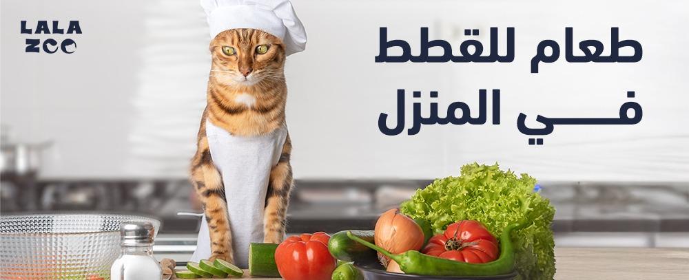طعام للقطط في المنزل | وصفات صحية وسهلة لقطتك السعيدة 2025
