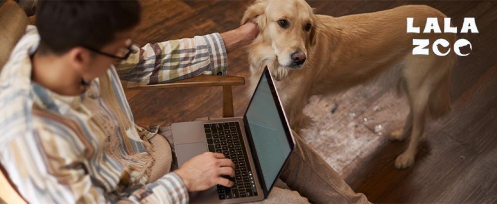 تربية الحيوانات الأليفة