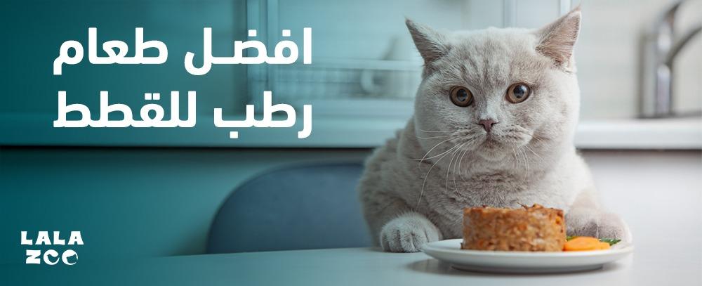 افضل طعام رطب للقطط