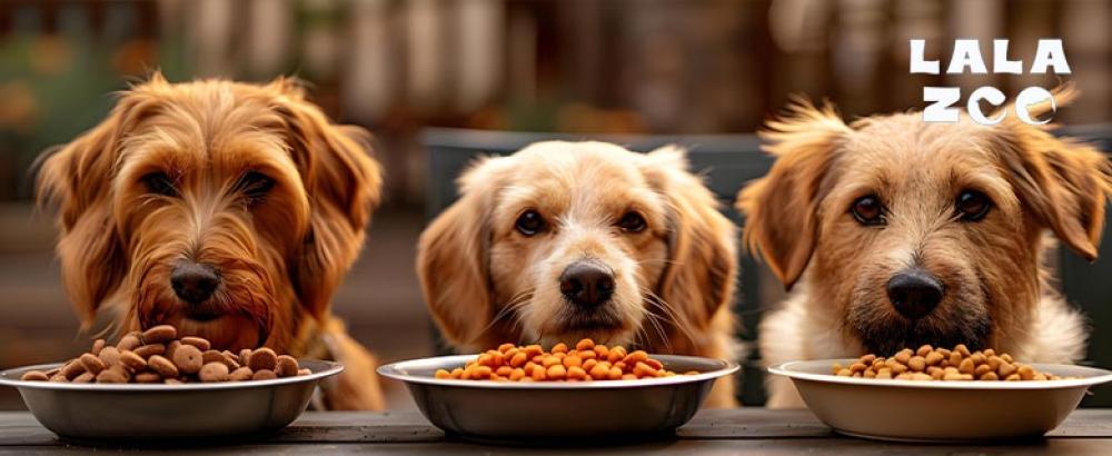 افضل انواع اكل الكلاب