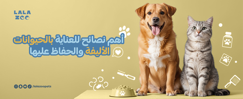 أهم نصائح للعناية بالحيوانات الأليفة والحفاظ عليها