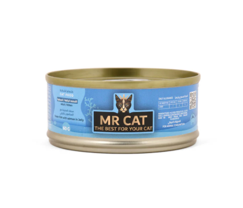 MR CAT Ocean Fish with salmon in Jelly 60g مستر كا...