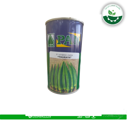 بامية ثريا