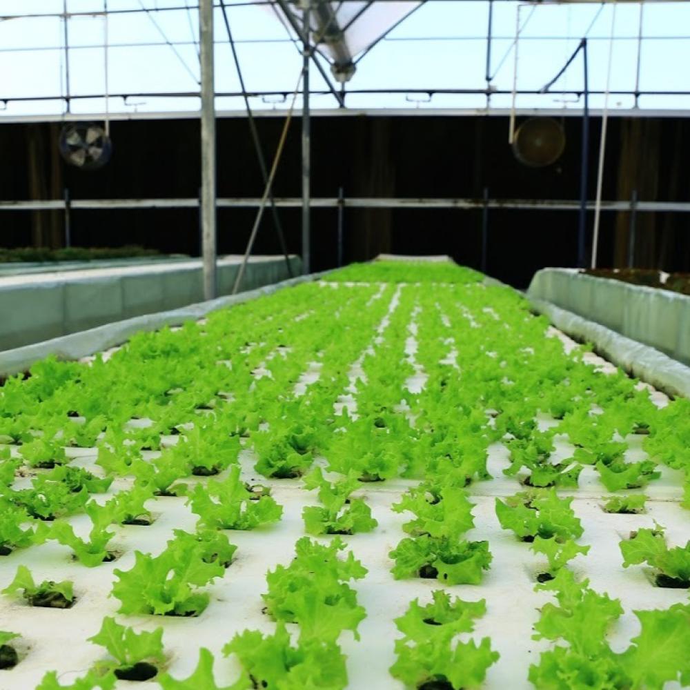 لماذا تختار سلال الخيرات؟