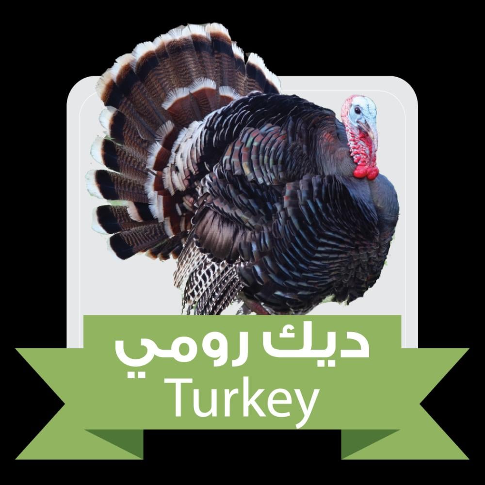 منتجات طازجة لصحة أفضل