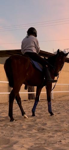 كلاس تجربة ركوب الخيل