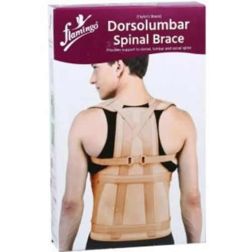 دعامة الظهر للعمود الفقري تايلورز من فلامنجو Flamingo _ بيج L