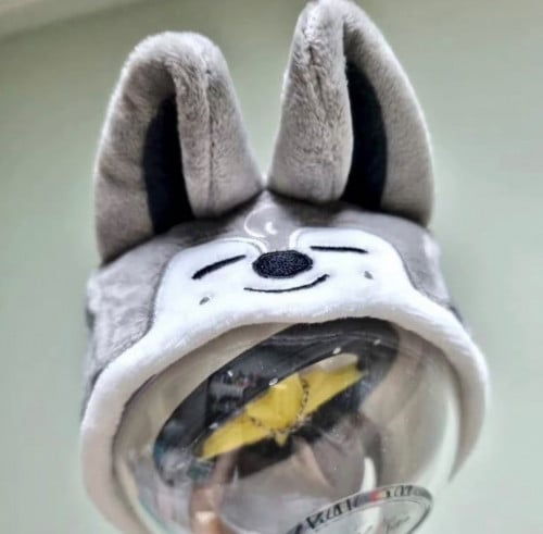 غطاء لايت ستيك Straykids ( Chan