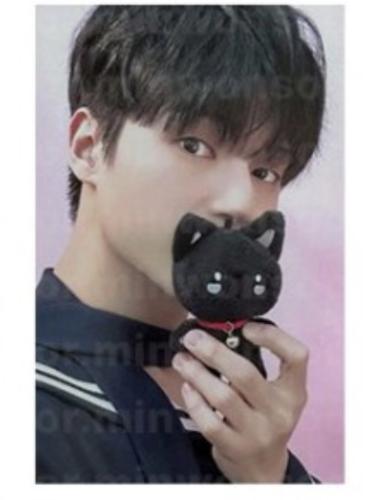 ميدالية 10cm  ANITEEZ ( WOOYOUNG )