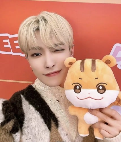 دمية ANITEEZ ( HONGJOONG )