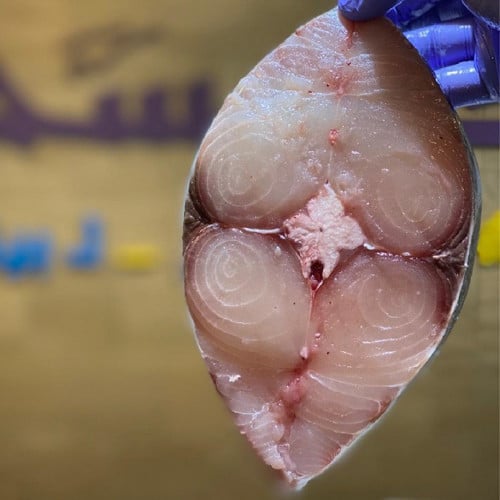 كنعد مقطع