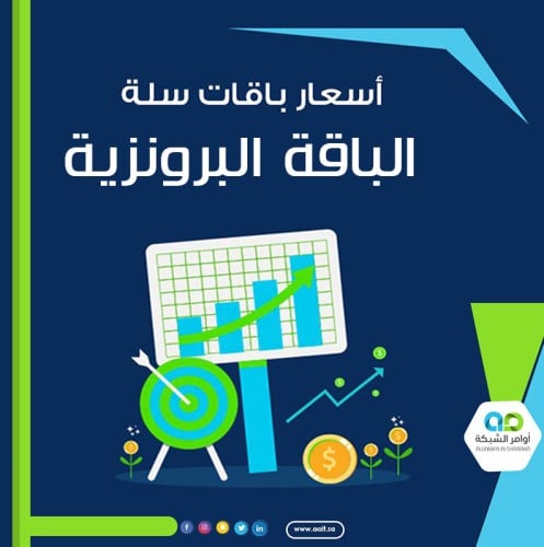 إنشاء متجر إلكتروني على منصة سلة - الباقة البرونزي...