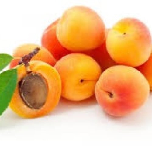 زيت المشمش Apricot