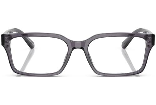 EMPORIO.ARMANI 3244 53 6106 FR