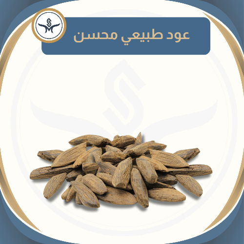 "الخليج" عود موروكي طبيعي محسن