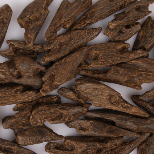 عود المجالس