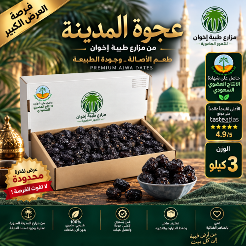 عجوة المدينة عضوية 3 كيلو حبة وسط لينة وطرية مع الشحن المجاني طبيعية ١٠٠٪