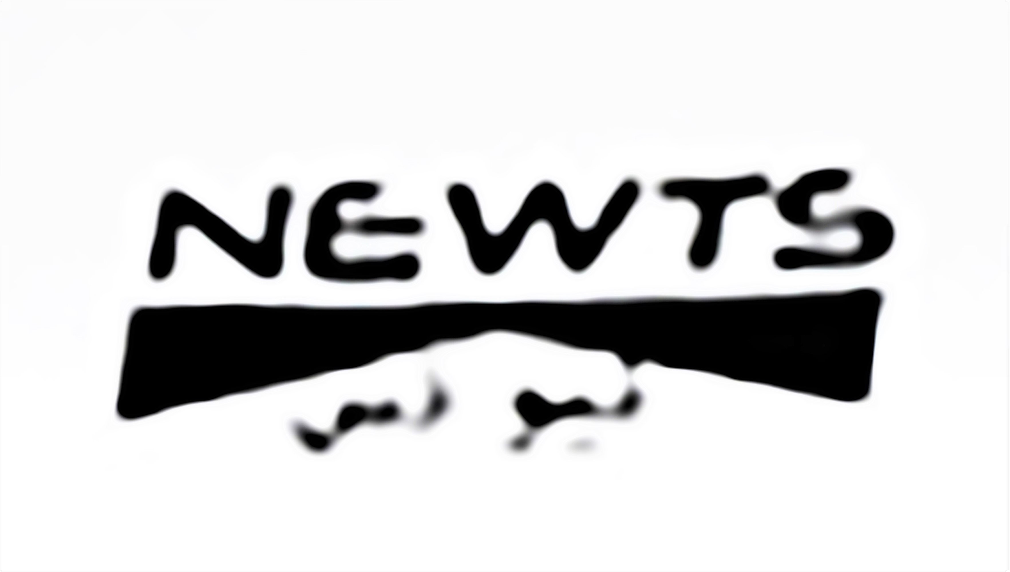 نيوتس نيوتس