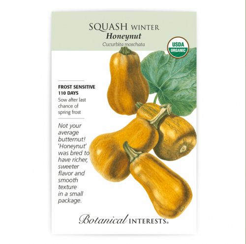 بذور قرع العسل - Honeynut Winter Squash Seeds