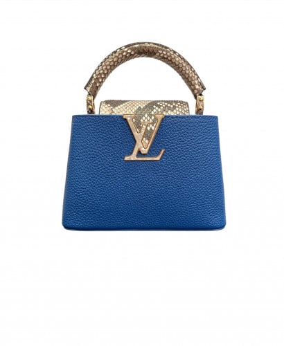 لويس فيتونا Louise Vuitton